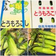 ヒメ日記 2025/08/20 08:26 投稿 咲（サク） シェリーエンジェル