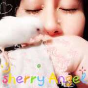 ヒメ日記 2025/09/02 14:14 投稿 咲（サク） シェリーエンジェル