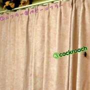 ヒメ日記 2025/09/07 15:19 投稿 咲（サク） シェリーエンジェル