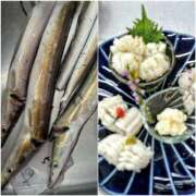 ヒメ日記 2025/09/14 07:40 投稿 咲（サク） シェリーエンジェル