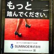 ヒメ日記 2025/11/16 22:45 投稿 咲（サク） シェリーエンジェル