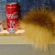 ヒメ日記 2025/11/19 10:58 投稿 咲（サク） シェリーエンジェル