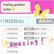 ヒメ日記 2025/11/24 10:19 投稿 咲（サク） シェリーエンジェル