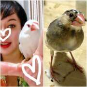 ヒメ日記 2026/01/04 00:46 投稿 咲（サク） シェリーエンジェル