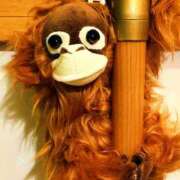 ヒメ日記 2026/02/01 00:31 投稿 咲（サク） シェリーエンジェル