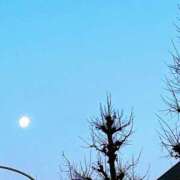 ヒメ日記 2026/02/04 06:48 投稿 咲（サク） シェリーエンジェル