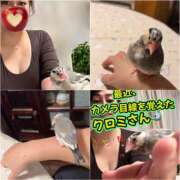 ヒメ日記 2026/02/21 11:34 投稿 咲（サク） シェリーエンジェル