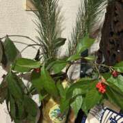 ヒメ日記 2026/02/22 12:08 投稿 咲（サク） シェリーエンジェル