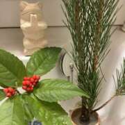 ヒメ日記 2026/02/22 12:13 投稿 咲（サク） シェリーエンジェル