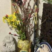 ヒメ日記 2026/02/22 12:18 投稿 咲（サク） シェリーエンジェル