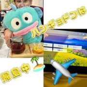 ヒメ日記 2026/03/16 13:59 投稿 咲（サク） シェリーエンジェル