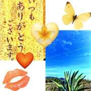 ヒメ日記 2026/03/17 10:16 投稿 咲（サク） シェリーエンジェル