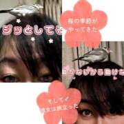 ヒメ日記 2026/03/27 11:19 投稿 咲（サク） シェリーエンジェル