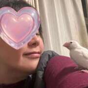 ヒメ日記 2026/03/27 21:02 投稿 咲（サク） シェリーエンジェル