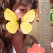 ヒメ日記 2026/03/29 22:22 投稿 咲（サク） シェリーエンジェル