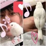 ヒメ日記 2026/04/03 21:36 投稿 咲（サク） シェリーエンジェル