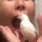 ヒメ日記 2026/04/24 20:10 投稿 咲（サク） シェリーエンジェル