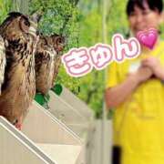 ヒメ日記 2026/06/02 07:48 投稿 咲（サク） シェリーエンジェル