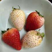 ヒメ日記 2025/03/04 11:46 投稿 稲葉彩 五十路マダム金沢店