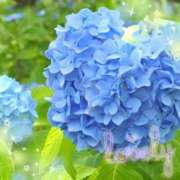 ヒメ日記 2025/06/23 09:32 投稿 稲葉彩 五十路マダム金沢店