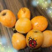 ヒメ日記 2025/06/24 14:18 投稿 稲葉彩 五十路マダム金沢店