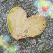 稲葉彩 今年は… 五十路マダム金沢店