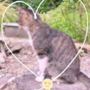 ヒメ日記 2025/10/07 21:15 投稿 愛内瞳 セレブショップ新宿（東京ハレ系）