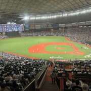 ヒメ日記 2025/03/29 08:22 投稿 おと SKY(スカイ)