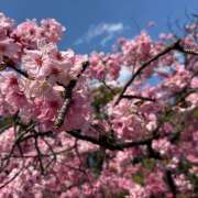 ヒメ日記 2025/04/05 10:06 投稿 おと SKY(スカイ)