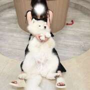 ヒメ日記 2025/07/30 08:20 投稿 おと SKY(スカイ)