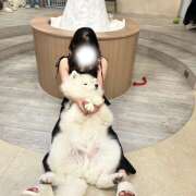 ヒメ日記 2025/11/04 07:53 投稿 おと SKY(スカイ)