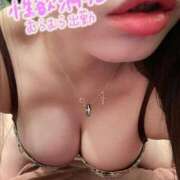 ヒメ日記 2026/02/12 08:59 投稿 れいな TALENT（タレント）