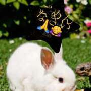 ヒメ日記 2025/01/22 05:57 投稿 もも シェリーエンジェル