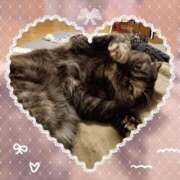 ヒメ日記 2025/08/28 17:34 投稿 吉永 鶯谷デッドボール