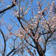 ヒメ日記 2026/03/01 15:29 投稿 吉永 鶯谷デッドボール