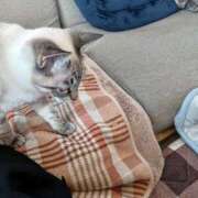 ヒメ日記 2026/04/13 12:39 投稿 吉永 鶯谷デッドボール