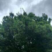 ヒメ日記 2026/06/23 15:59 投稿 吉永 鶯谷デッドボール