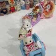 さな 予定🗓️ ドンファン