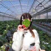 さな お休みの日～ ドンファン