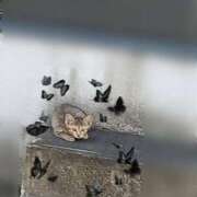 ヒメ日記 2025/09/30 16:52 投稿 岡崎 PHOENIX(フェニックス)鳥栖店