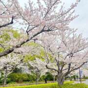 まねる 16日いるよ！ 横浜パフパフチェリーパイ