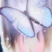 ヒメ日記 2026/03/19 10:41 投稿 磯貝 美也 こあくまな熟女たち 静岡店（KOAKUMAグループ）