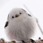 ヒメ日記 2024/12/30 07:46 投稿 ゆめの 熟女の風俗最終章 高崎店