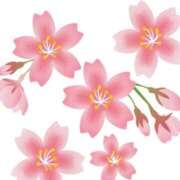 ヒメ日記 2025/03/28 19:08 投稿 ゆめの 熟女の風俗最終章 高崎店