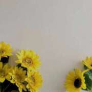 ヒメ日記 2025/07/29 10:58 投稿 ゆめの 熟女の風俗最終章 高崎店