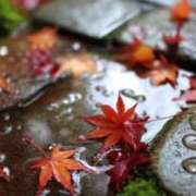 ヒメ日記 2025/10/11 13:59 投稿 ゆめの 熟女の風俗最終章 高崎店