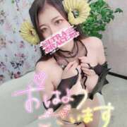 ヒメ日記 2025/10/15 09:35 投稿 えみな ウルトラグレイス24