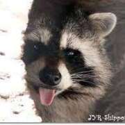 ヒメ日記 2025/06/19 12:24 投稿 せいこ 神戸3040（神戸サーティフォーティ）