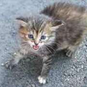 ヒメ日記 2025/11/03 14:44 投稿 せいこ 神戸3040（神戸サーティフォーティ）