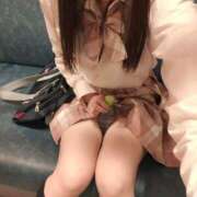 ヒメ日記 2025/03/01 13:04 投稿 つばき 電車でGOAL！